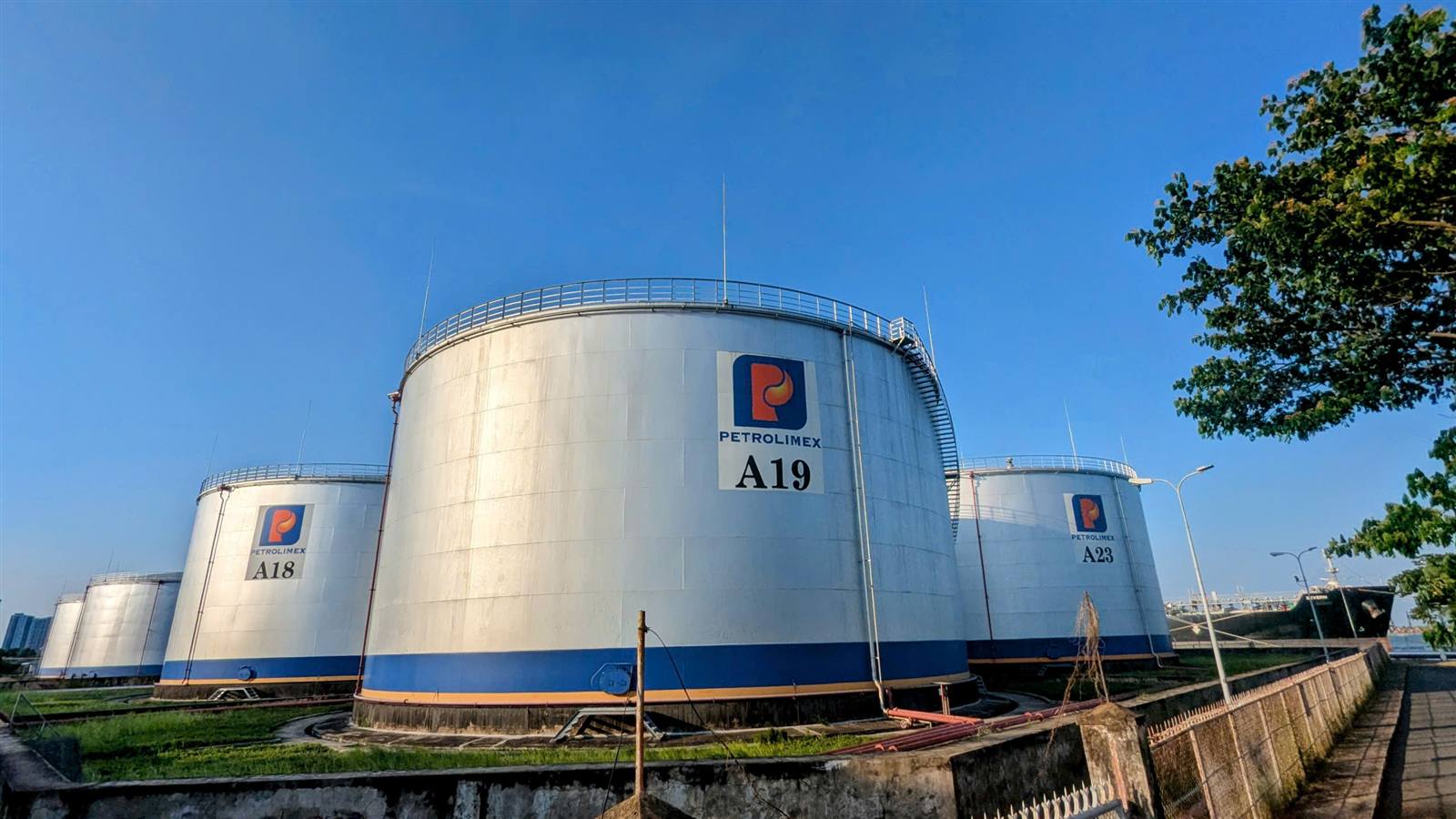 Bồn A19